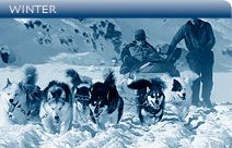 GALLERY - WINTER